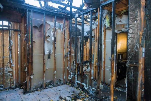 Professional Structural Rebuild technician working in Atascocita, TX